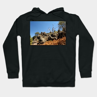 Dry Rocks Hoodie